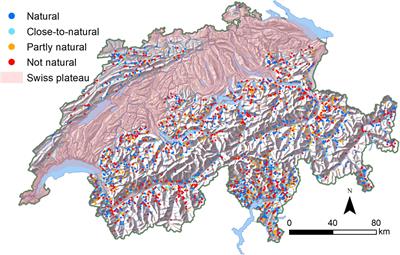 Maintaining the protective function of mountain forests under climate change by the concept of naturalness in tree species composition